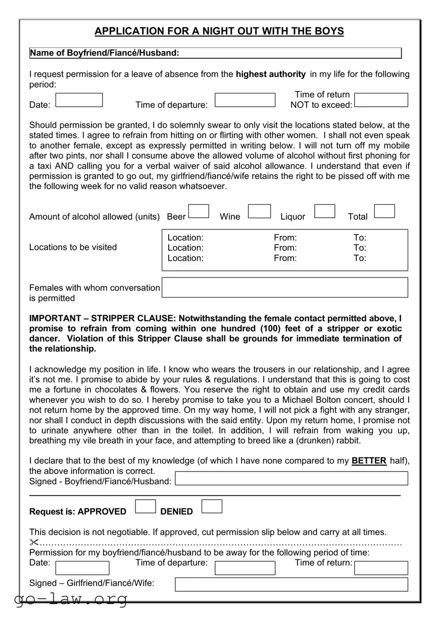 Download Application For Night Out With Boys Form in PDF