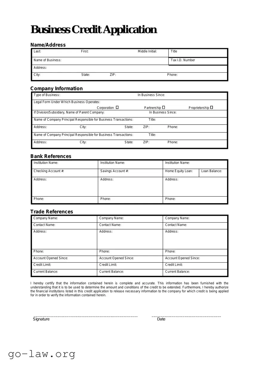 Download Business Credit Application Form in PDF