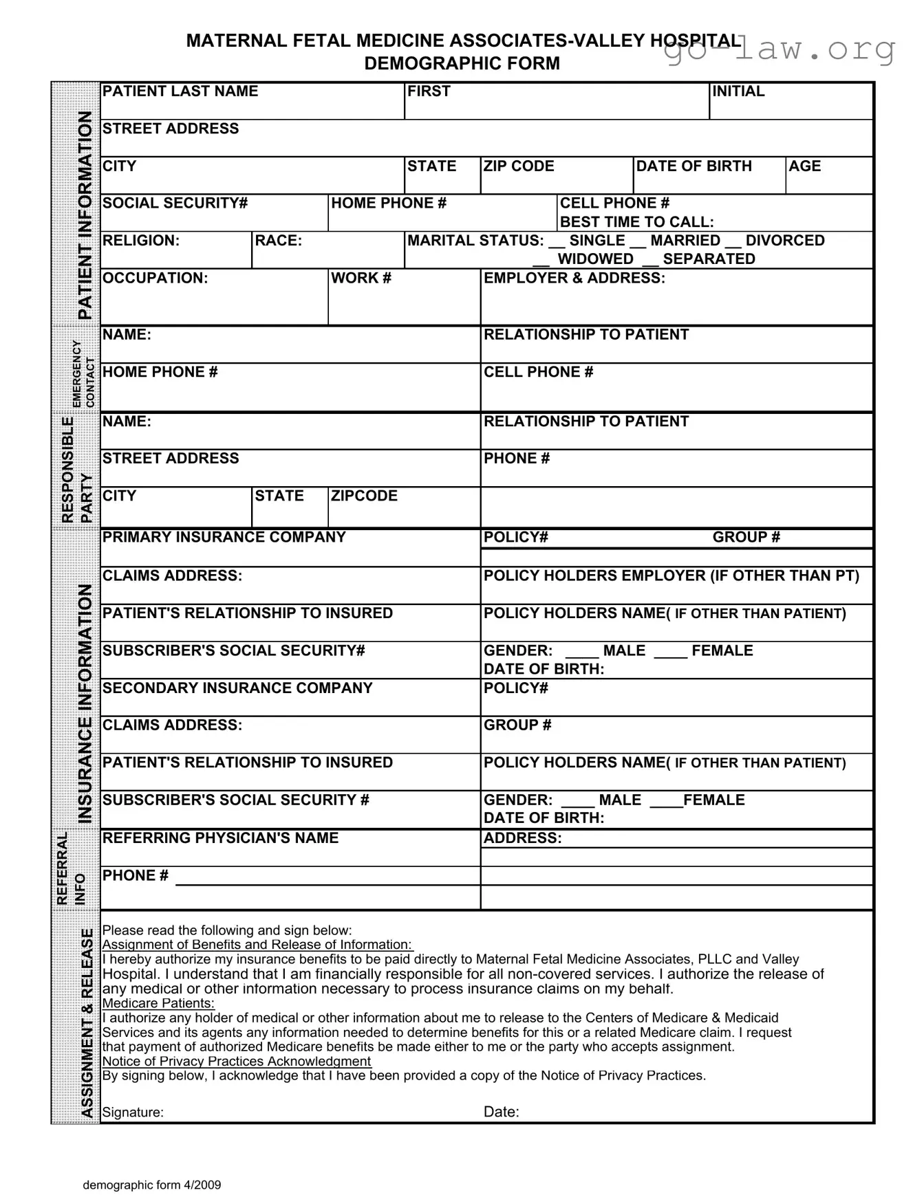 Download Patient Demographics Form in PDF