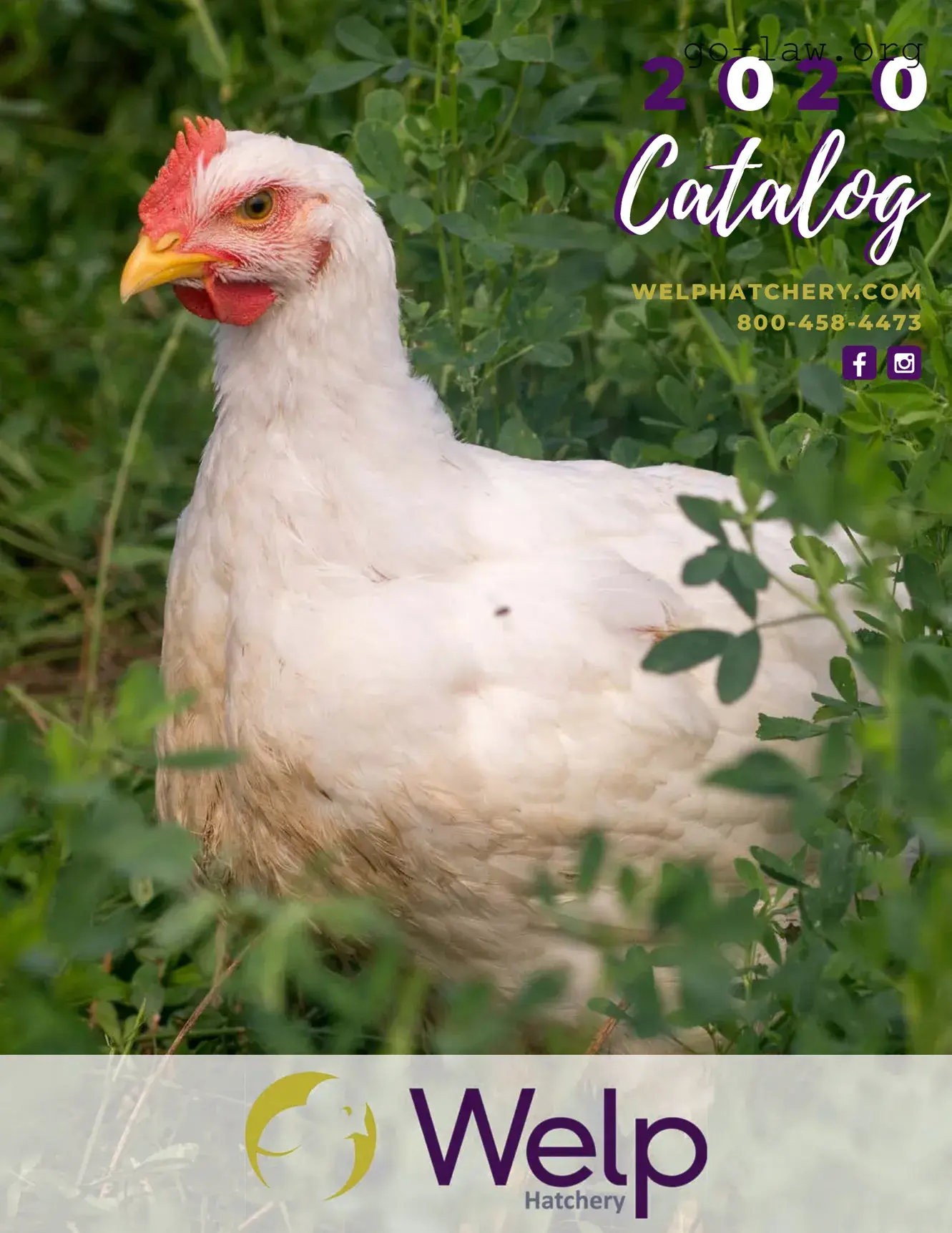 Download Welp hatchery Form in PDF