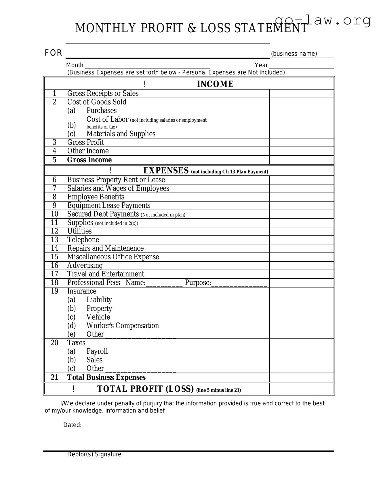 Download Profit And Loss Form in PDF