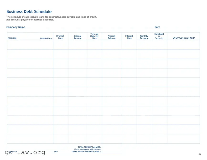 Download Business Debt Schedule Form in PDF