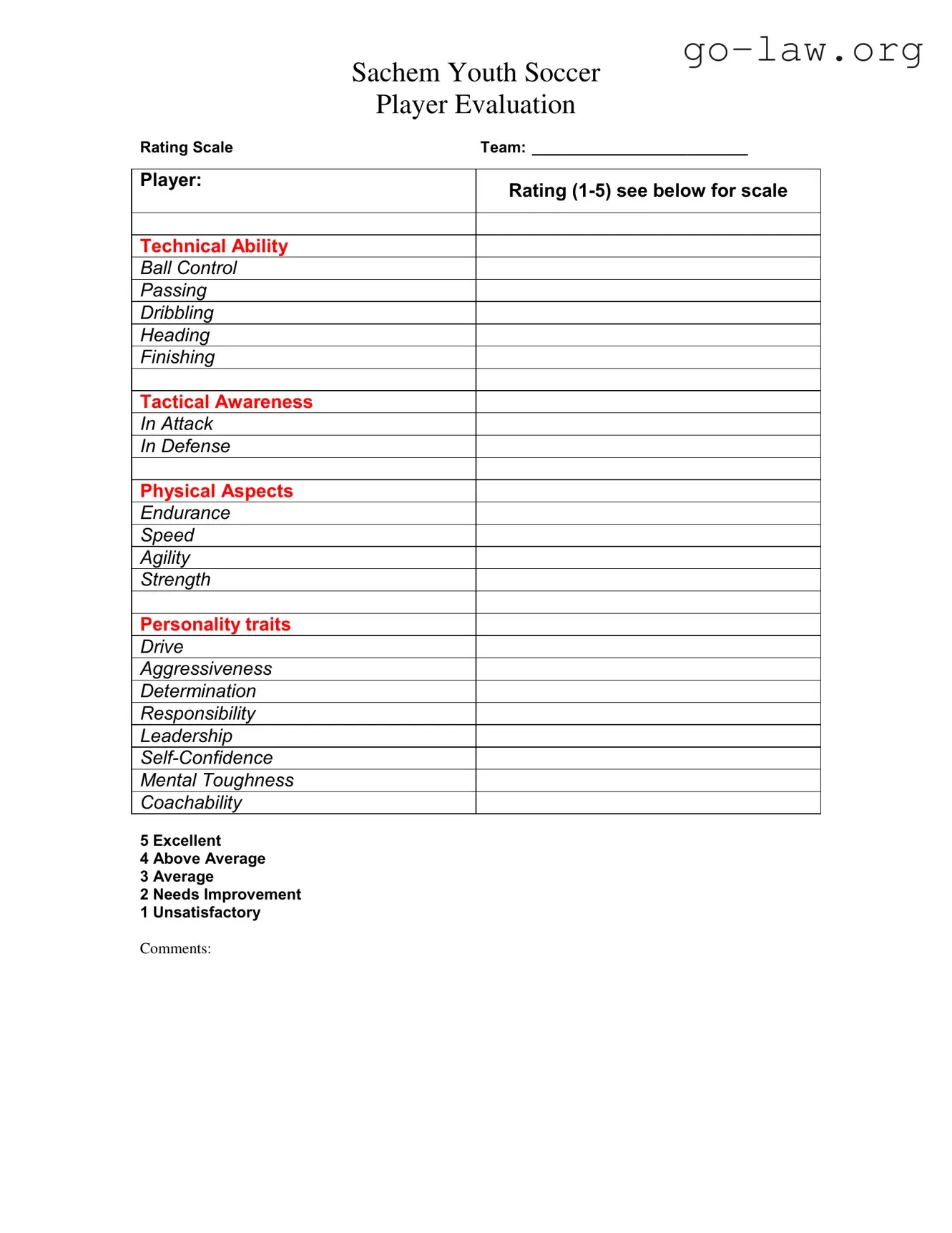 Download Soccer Player Evaluation Form in PDF
