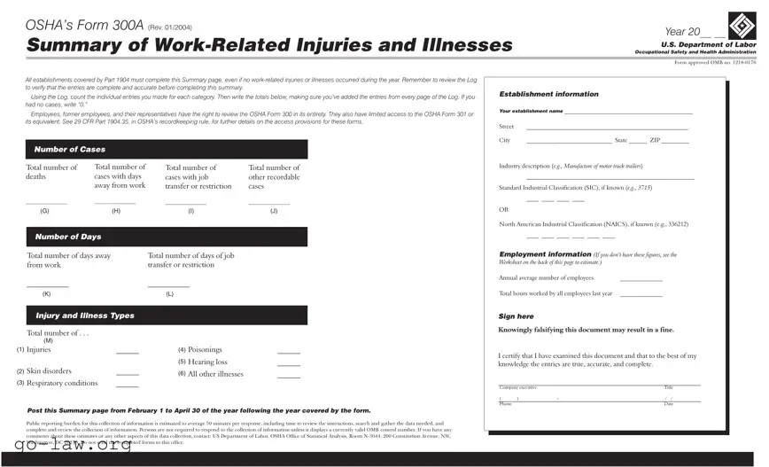 Download 300A Osha Form in PDF